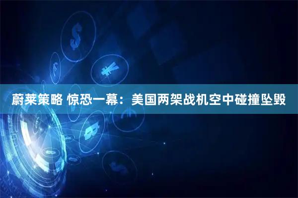 蔚莱策略 惊恐一幕:美国两架战机空中碰撞坠毁